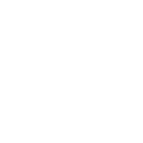 Nopeaputkimies Logo